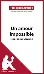 Analyse : Un amour impossible de Christine Angot  (analyse complète de l'oeuvre et résumé)