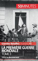 La Première Guerre mondiale (Tome 3)