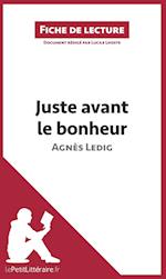 Analyse : Juste avant le bonheur d'Agnès Ledig  (analyse complète de l'oeuvre et résumé)