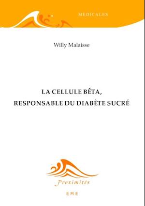 La cellule bêta, responsable du diabète sucré