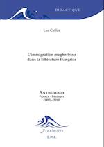 L''immigration maghrébine dans la littérature française