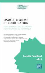 Usage, norme et codification