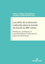 Les Defis de la Diversite Culturelle Dans Le Monde Du Travail Au Xxie Siecle