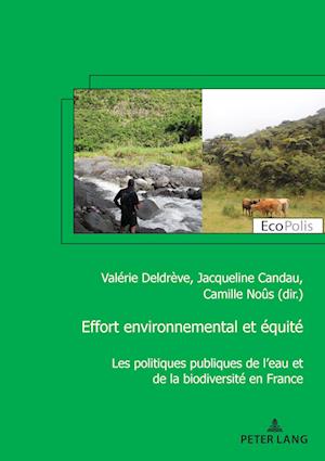 Effort environnemental et équité