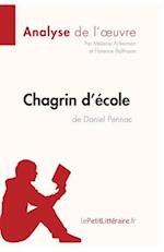 Chagrin d'école de Daniel Pennac (Analyse de l'oeuvre)