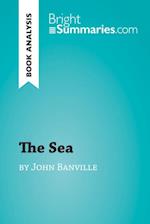 Sea by John Banville (Book Analysis)