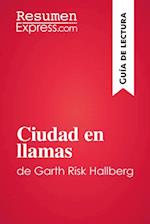 Ciudad en llamas de Garth Risk Hallberg (Guía de lectura)