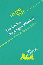 Die Leiden des jungen Werther von Johann Wolfgang von Goethe (Lektürehilfe)