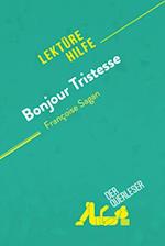 Bonjour Tristesse von Françoise Sagan (Lektürehilfe)