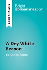 Dry White Season by Andre Brink (Book Analysis)