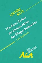 Wie Kater Zorbas der kleinen Möwe das Fliegen beibrachte von Luis Sepúlveda (Lektürehilfe)