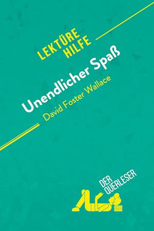 Unendlicher Spaß von David Foster Wallace (Lektürehilfe)