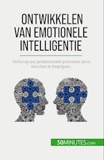 Ontwikkelen van emotionele intelligentie