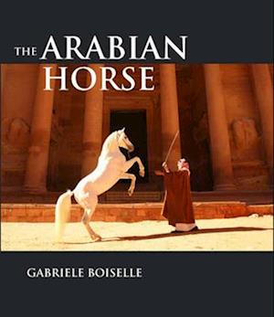 The Arabian Horse