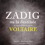 Zadig