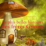 Les Plus Belles Histoires des frères Grimm