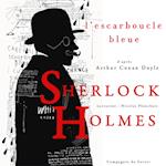 L'Escarboucle bleue, Les enquêtes de Sherlock Holmes et du Dr Watson