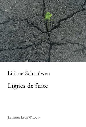 Lignes de fuite