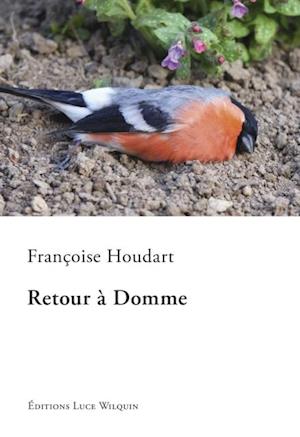 Retour à Domme