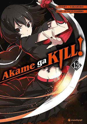 Akame ga KILL! 13