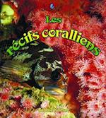 Les Récifs Coralliens (Coral Reef Food Chains)