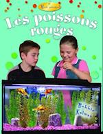 Les Poissons Rouges (Goldfish)