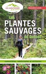 Les plantes sauvages du Québec