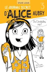 Le journal secret d’Alice Aubry 3