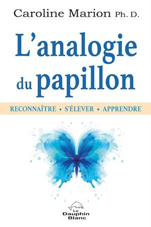 L'analogie du papillon