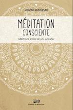 Méditation consciente Tome 1