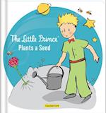 The Little Prince Plants a Seed