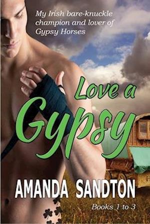 Love a Gypsy - 1: An Irish Romance