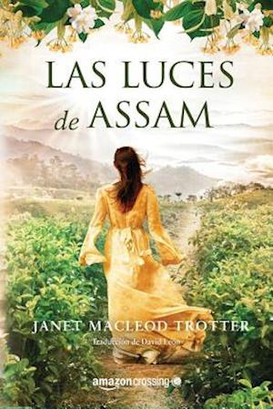 Las Luces de Assam