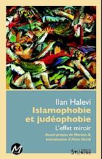 Islamophobie et judéophobie : L''effet miroir