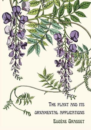 The plant and its ornamental applications