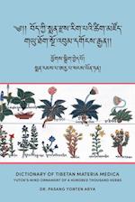 Dictionary of Tibetan Materia Medica (Bod kyi sman rdzas rig pa'i tshig mdzod)