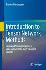 Introduction to Tensor Network Methods