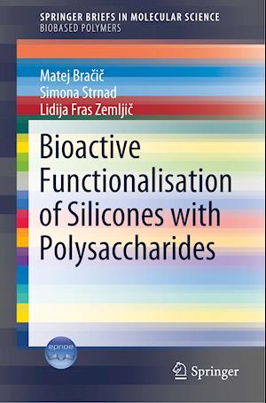 Bioactive Functionalisation of Silicones with Polysaccharides