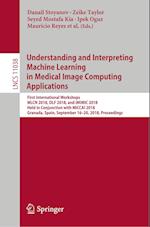 Understanding and Interpreting Machine Learning in Medical Image Computing Applications