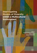 Interrogating Models of Diversity within a Multicultural Environment