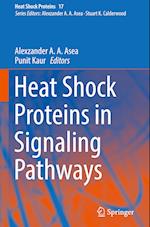 Heat Shock Proteins in Signaling Pathways