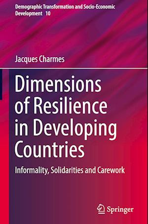 Dimensions of Resilience in Developing Countries