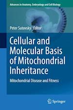 Cellular and Molecular Basis of Mitochondrial Inheritance