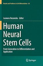 Human Neural Stem Cells