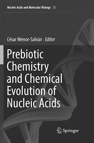 Prebiotic Chemistry and Chemical Evolution of Nucleic Acids