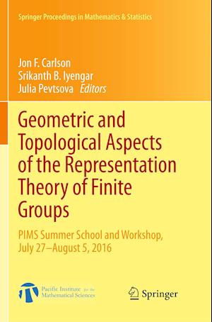 Geometric and Topological Aspects of the Representation Theory of Finite Groups