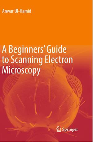 A Beginners' Guide to Scanning Electron Microscopy