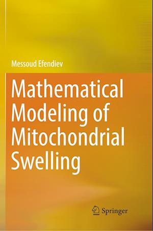 Mathematical Modeling of Mitochondrial Swelling