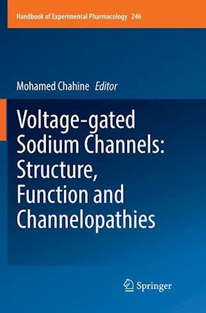 Voltage-gated Sodium Channels: Structure, Function and Channelopathies