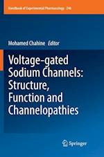 Voltage-gated Sodium Channels: Structure, Function and Channelopathies